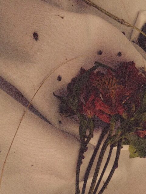 Branding shoot, but make it moody ✨♥️

@bestbudsinbloomco 🥀

#photography #beginnerphotographer #brandingshoot #branding #florist